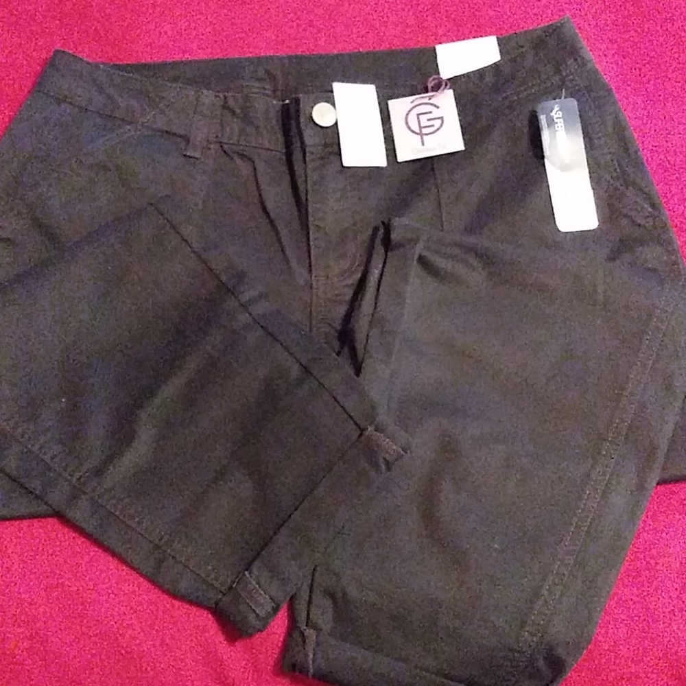 LANE BRYANT SKINNY PANTS